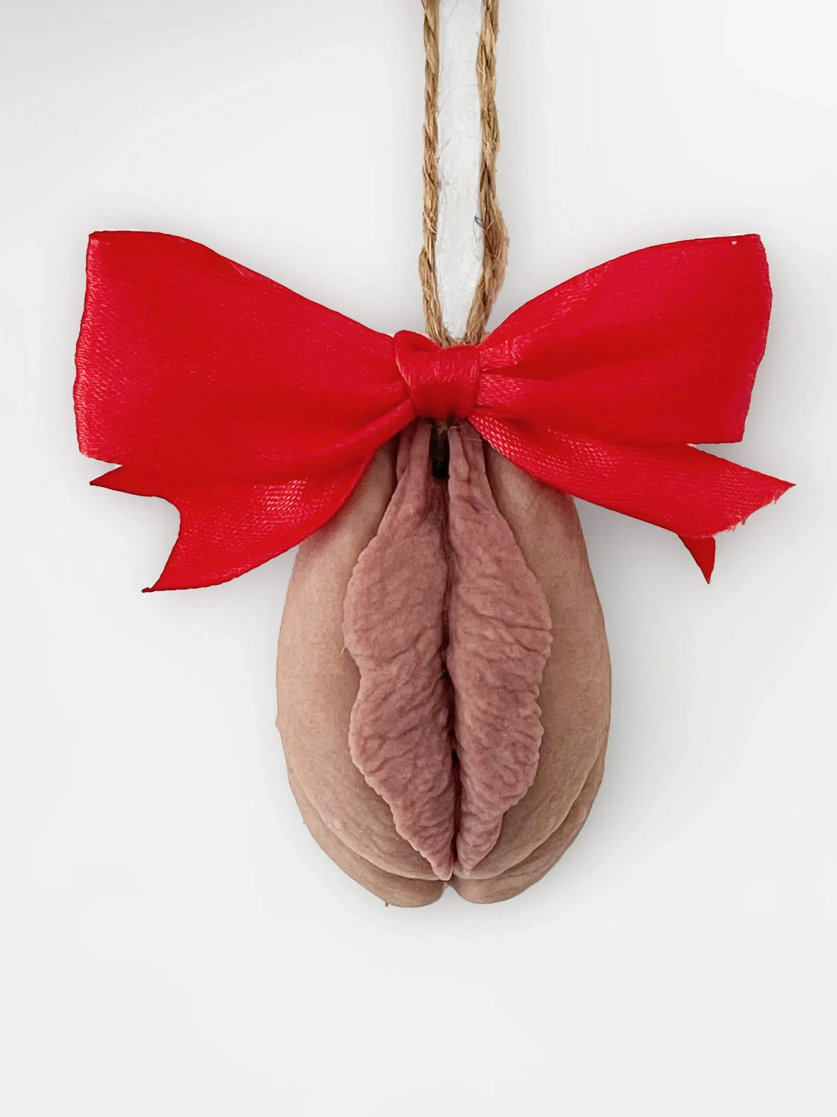 Christmas Fanny